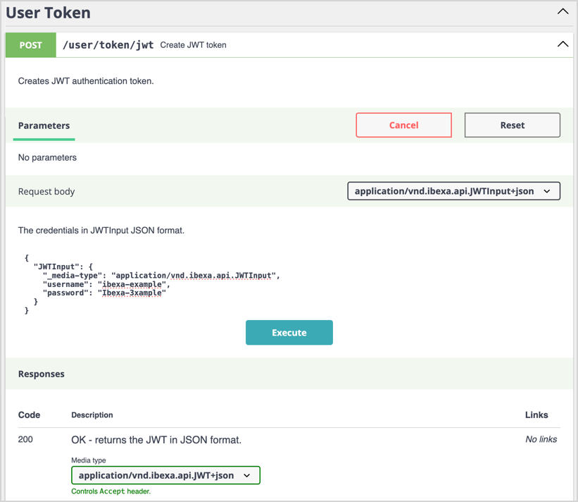 REST API live documentation with a JWTInput payload